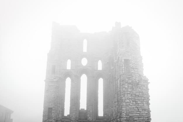 A concept art image of a derelict European castle shrouded in mist, with a sense of dread and decay. The castle could potentially serve as a central location in Resident Evil 9, filled with puzzles, enemies, and a deep, haunting atmosphere.